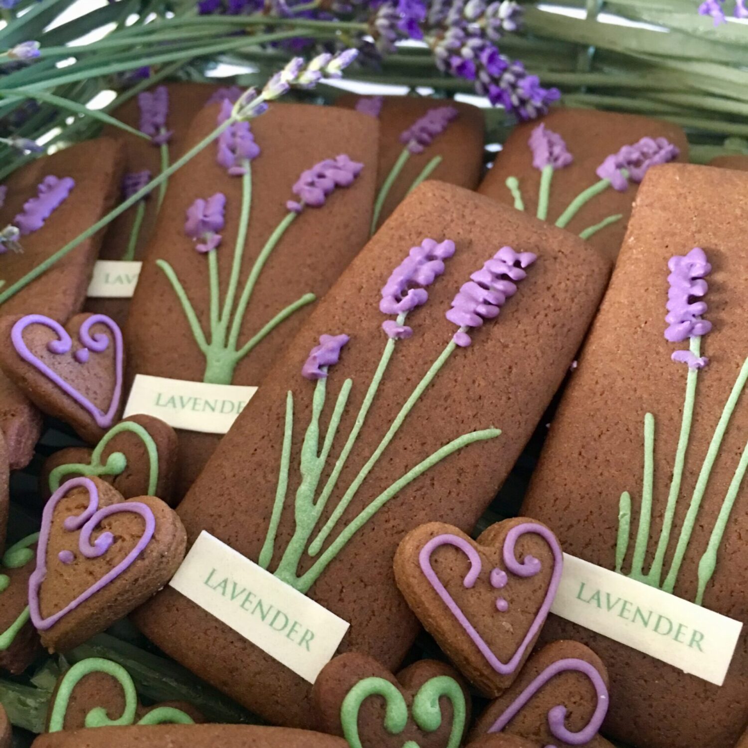 Gingerbread_Lavender - Sweet Snowdonia