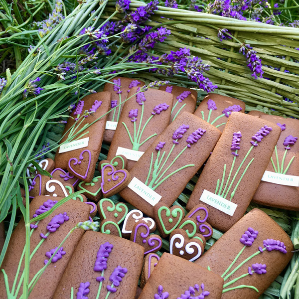 lavender theme hand iced biscuits