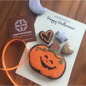 Happy Pumpkin – Letterbox (hand-iced biscuits)