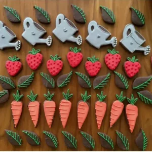 Gardening Gift box (hand-iced biscuits)