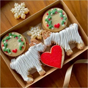 Love from Llandudno (hand-iced biscuits)