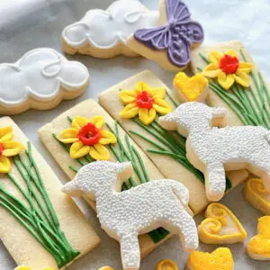 Happy Spring! (hand-iced biscuits)