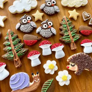 Fairytale Forest (hand-iced biscuits)