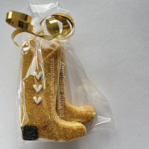 ERAS Tour Taylor Swift Debut cookies cowboy books biscuits