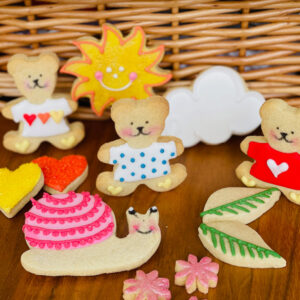 teddy bears picnic biscuit cookie gift box