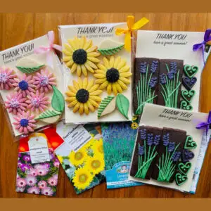 seeds and biscuit gift sets
