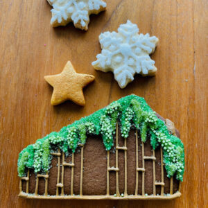 Folkore Cabin Cookie Taylor Swift