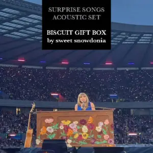 Surprise Songs (Taylor Swift ERAS) (hand-iced biscuits)