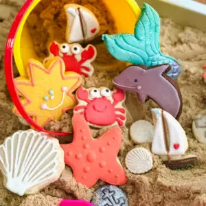 Beach Biscuits (hand-iced biscuits)