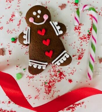 gingerbread man biscuit sweet snowdonia