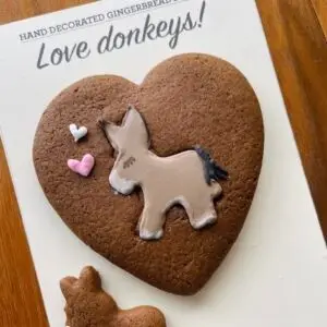 Love Donkeys Letterbox (hand-iced biscuits)