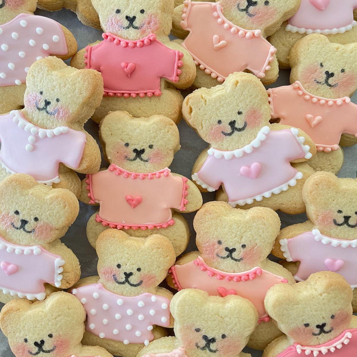 teddy bear biscuit gift