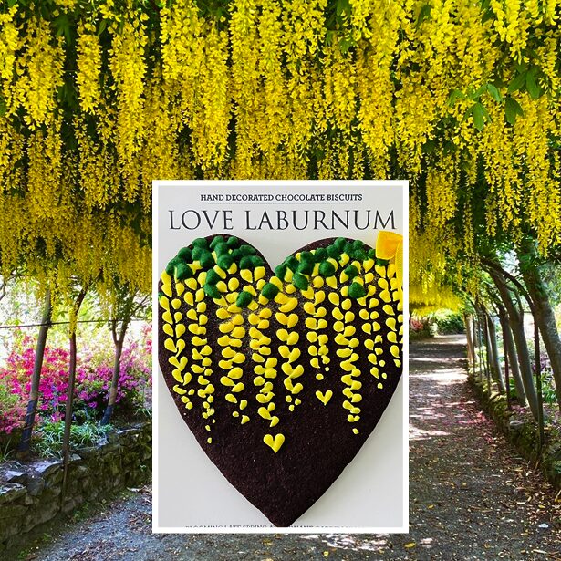 Laburnum hand decorated biscuit