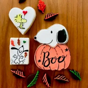Snoopy theme autumn halloweeen biscuit gift box