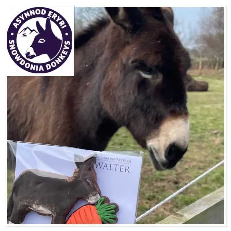 Hand-iced biscuits made for Snowdonia Donkeys