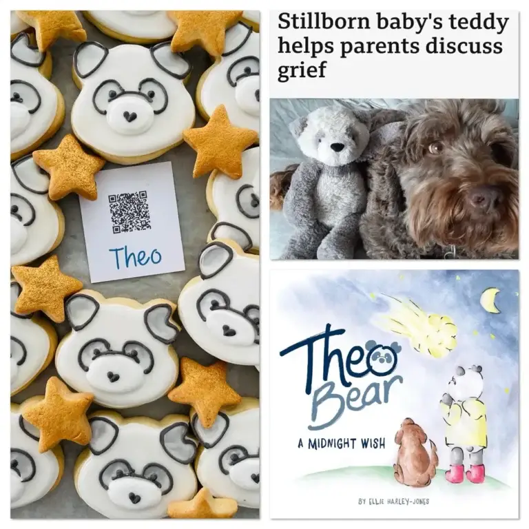 Hand-iced biscuits made for the Theo Bear book launch